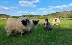 Ferme Des Petites Oreilles 4 Etoiles
